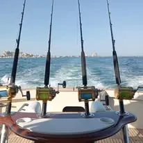 Cañas listas en el mar